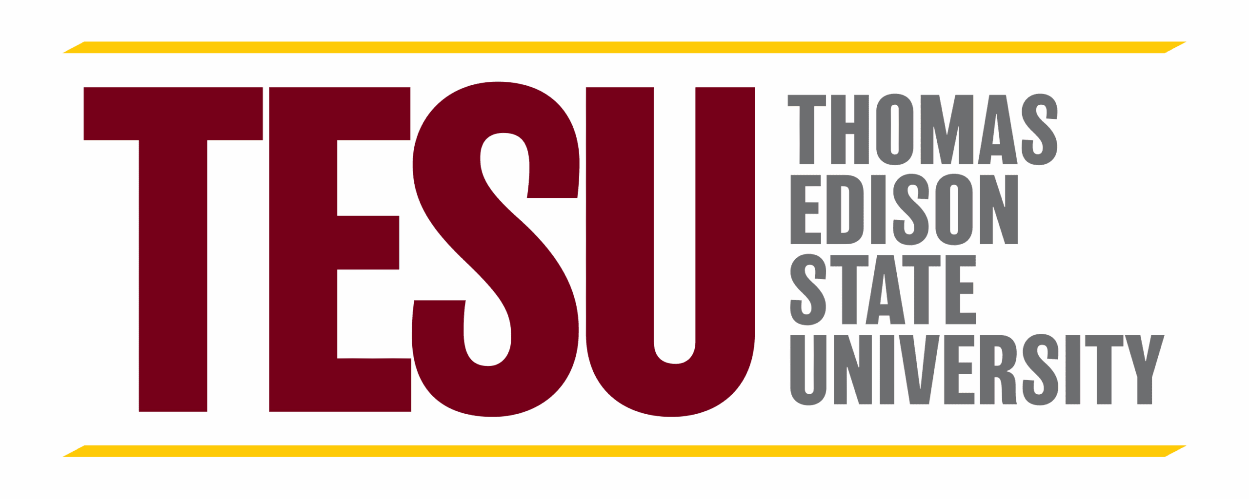 TESU LOGO 1
